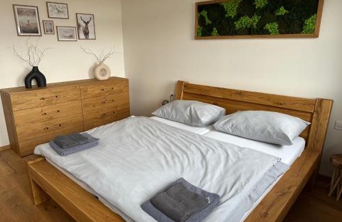 Kvilda Apartamento | Strunzova pila - wellness