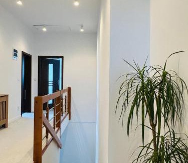 Gmina Witkowo Apartamento | Strzyzewo Witkowskie Luxury Apartment