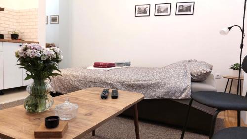 Vrsac Apartamento | Studi-apartman Kestenov stan