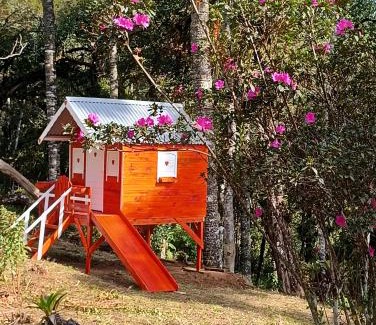 Nova Nazare Chalet De Esquí | Studio Árvore da vida