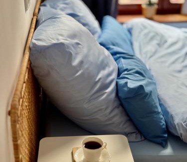 Leipziger Vorstadt Cama Y Desayuno | Studio 01097
