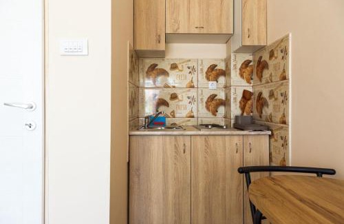 Golubac Apartamento | Studio 1