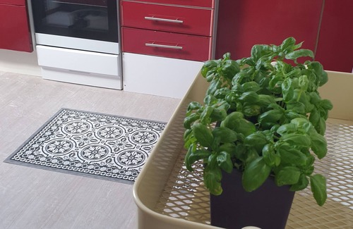 Neuffen Apartamento | Studio 11 mit Riesengroßem Bett 2,70m