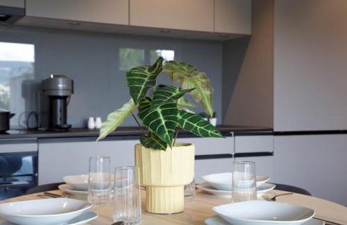 Aarau Apartamento | Studio 111 loft with views over Aarau