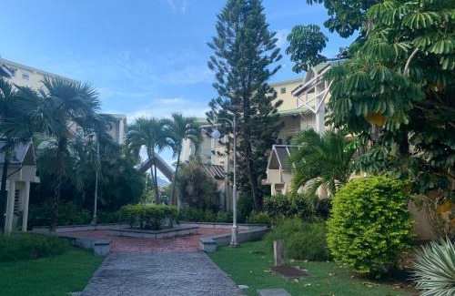 Pointe-a-Pitre Apartamento | Studio 18
