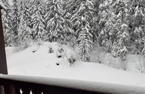 Mieussy Apartamento | Studio 3 Personnes sur Station de ski à Sommand, Commune Mieussy