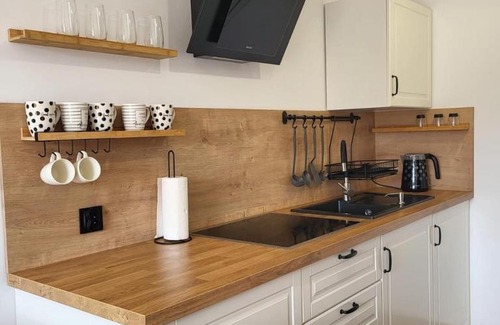 Gowidlino Apartamento | Studio 4-osobowe