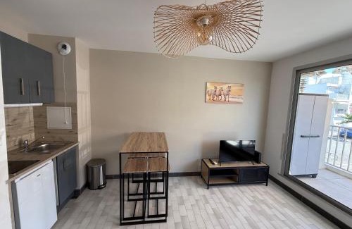 Le Grau-Du-Roi Apartamento | Studio 4 pers Clim, terrasse et parking