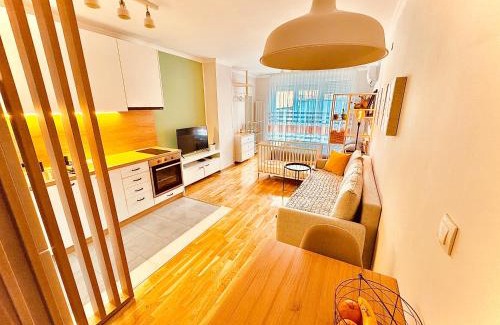 Pirot Apartamento | Studio 4