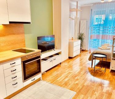 Pirot Apartamento | Studio 4