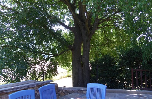 Colombieres-sur-Orb Apartamento | Estudio de 45m2 y terraza de 27m2 altillo cerca de Lamalou-les-Bains