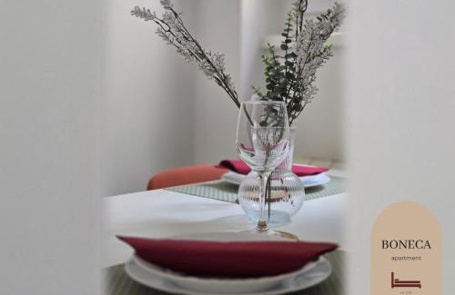 Sarajevska Apartamento | Studio 50