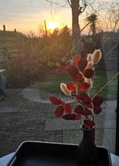 Oostkapelle Apartamento | Studio aan Zee Oostkapelle