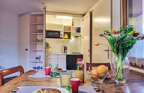 Rovio Apartamento | Studio al vigneto by Interhome