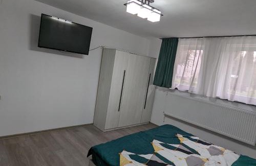 Zarnesti Apartamento | Studio Ali with parking