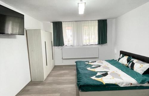 Zarnesti Apartamento | Studio Ali with parking