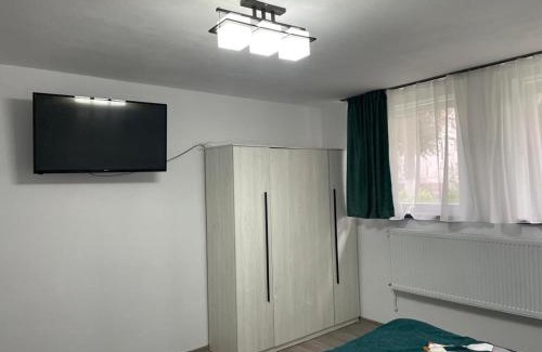 Zarnesti Apartamento | Studio Ali with parking