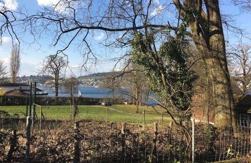 Horw Apartamento | Studio am Vierwaldstättersee