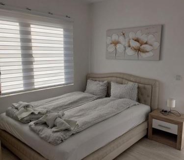 Soko Banja Apartamento | Studio Andrijana Sokobanja