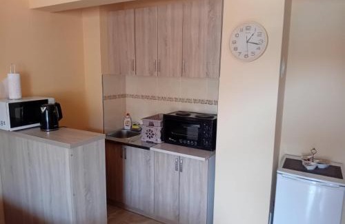 Pluzine Apartamento | Studio Apartman D&S