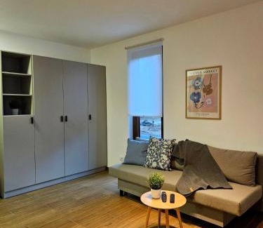 Divcibare Apartamento | Studio Apartman Nomad Divčibare