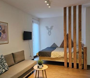 Divcibare Apartamento | Studio Apartman Nomad Divčibare