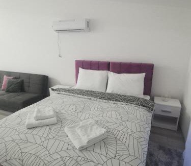 Banja Koviljaca Apartamento | Studio apartmani Banja Koviljaca