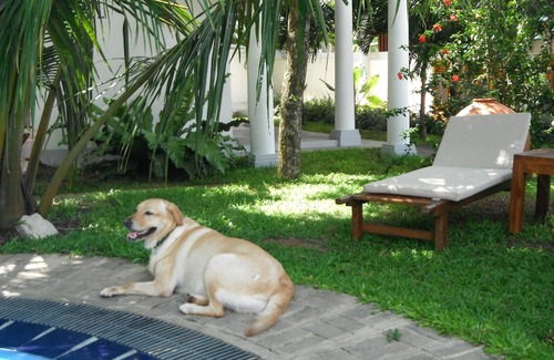 Tangalle Apartamento | Estudio en Sri Lanka Paradise, cerca de Playa, Ciudad, Safari, Turismo