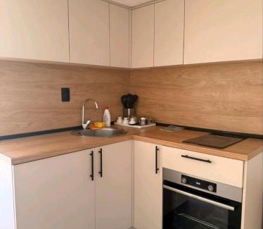 Mokra Gora Apartamento | Studio apartment Milev