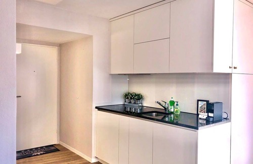 Niederdorf Apartamento | Studio Apt in Charming Zurich Old Town M07