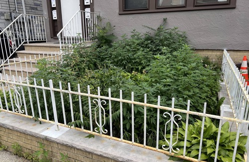 North Bergen Apartamento | Studio at North Bergen close to NYC and mass transportation