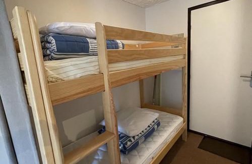 Laveissiere Apartamento | Studio avec balcon au centre station, proche pistes et patinoire - FR-1-787-46