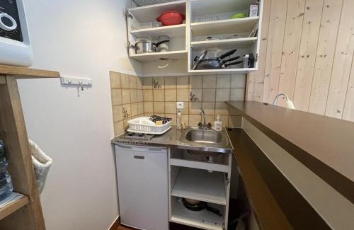 Laveissiere Apartamento | Studio avec balcon au centre station, proche pistes et patinoire - FR-1-787-46