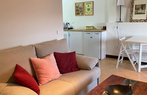 Consuegra Apartamento | Estudio 'Biblioteca' con terraza compartida, Wi-Fi y aire acondicionado