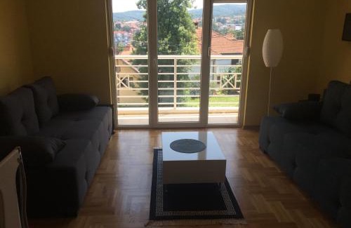 Vrnjacka Banja Apartamento | Studio BV 3