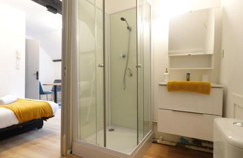 Lens Apartamento | Studio - Centre - Fac de Science