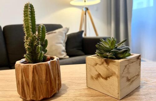 Revel Apartamento | Studio centre historique RDC - WIFI