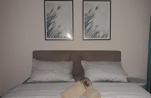 Jagodina Apartamento | Studio City day