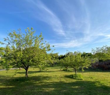 Malbosc Apartamento | Studio climatisé dans un ancien domaine viticole