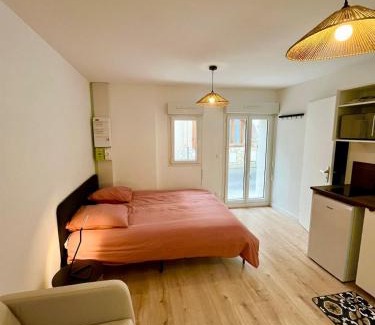 Beaux Arts-Boutonnet Apartamento | Studio climatisé, traversant avec verrière