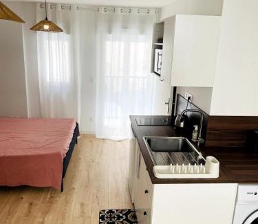 Beaux Arts-Boutonnet Apartamento | Studio climatisé, traversant avec verrière
