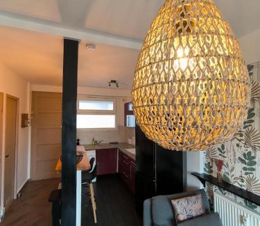 Pau-Sud Apartamento | Studio Cosy AspinIII