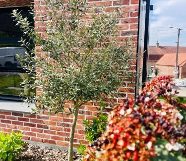 Ecques Casa | Studio Cosy Neuf