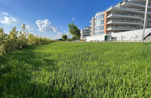 Pantelimon Apartamento | Studio cu vedere la Lebada Lake