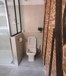 Verfeil Apartamento | Studio de charme 70m2, Jacuzzi et Piscine Partagée
