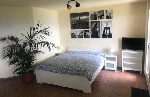 Goldiwil Apartamento | Studio der Alpen