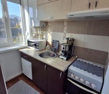 Emanoil Gojdu Apartamento | Studio Elvetia