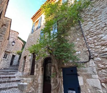 Bauduen Apartamento | Studio en voûte