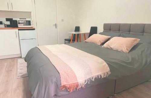 Tottenham Green Apartamento | Studio flat private bathroom wc and kitchenette