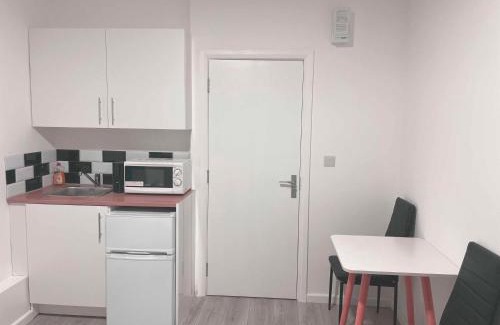 Tottenham Green Apartamento | Studio flat private bathroom wc and kitchenette